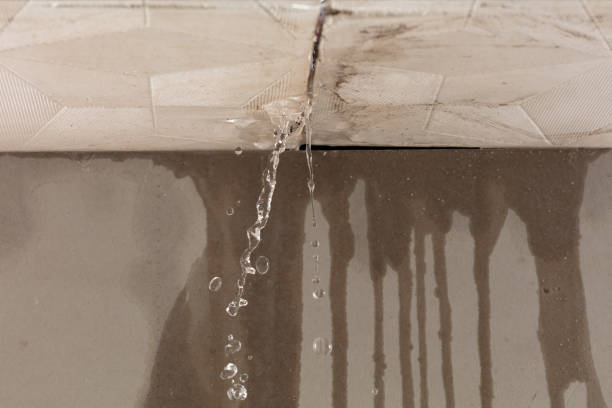 Professional Structural Drying technician working in Blanco, TX